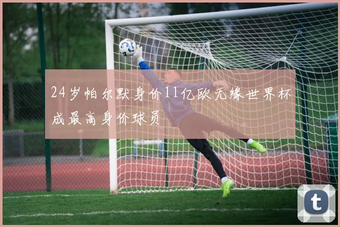 24岁帕尔默身价11亿欧无缘世界杯成最高身价球员