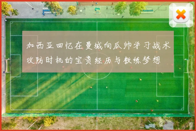 加西亚回忆在曼城向瓜帅学习战术攻防时机的宝贵经历与教练梦想